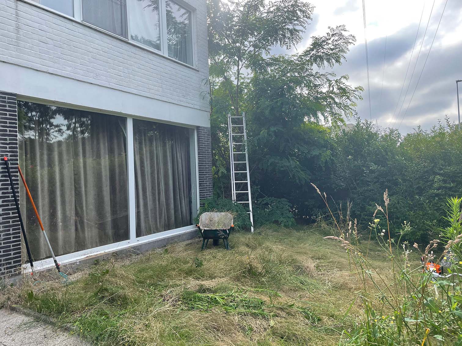 opkuis en onderhoud van tuinen